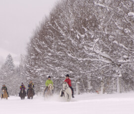 Winter altenmarkt winter bewegung 102