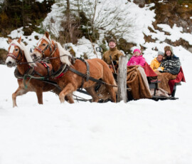 Winter altenmarkt winter bewegung 121